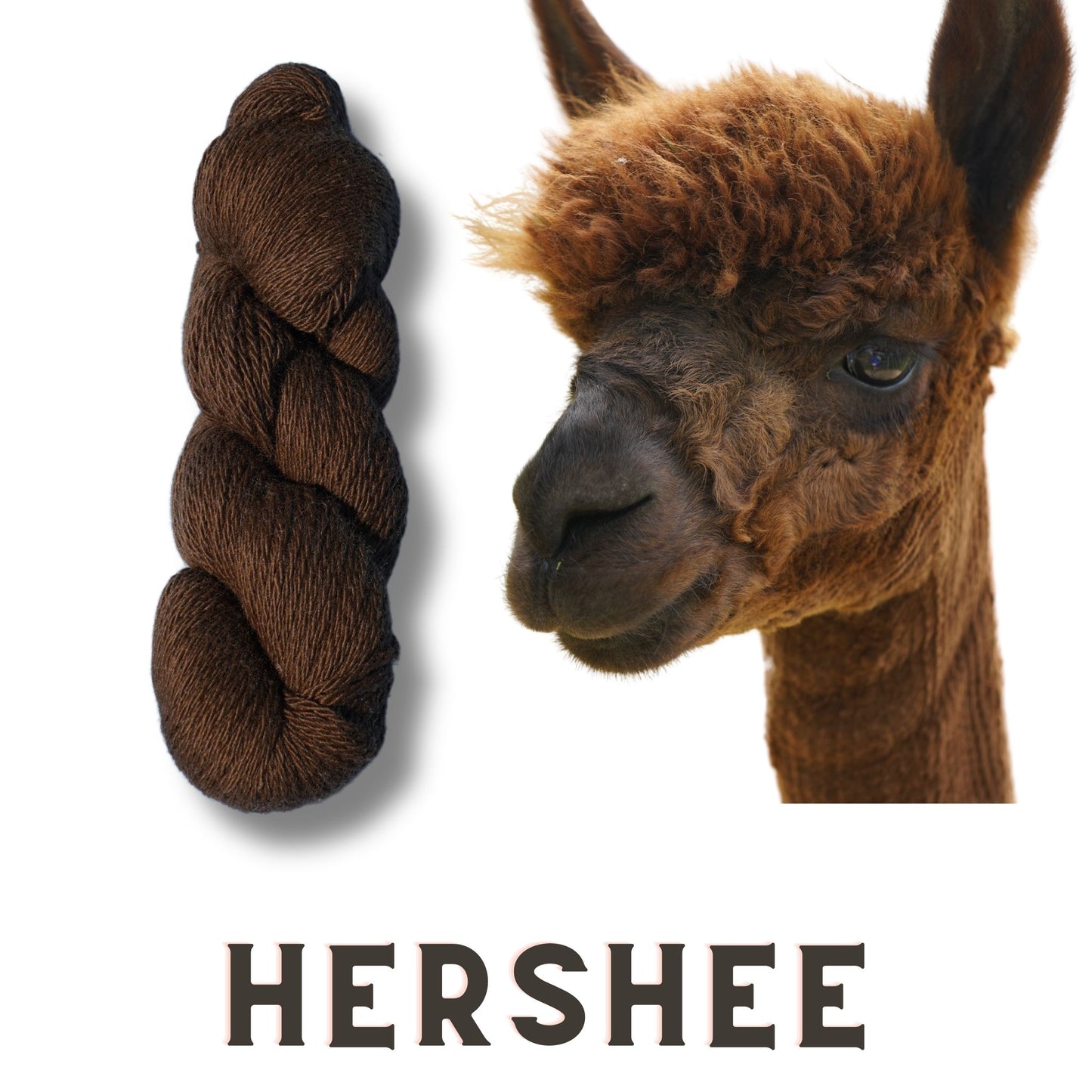 Hershee’s Shadow (Black Yarn) – 3-Ply Worsted Weight Alpaca