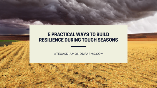 5 Practical Ways to Build Resilience During Tough Seasons
